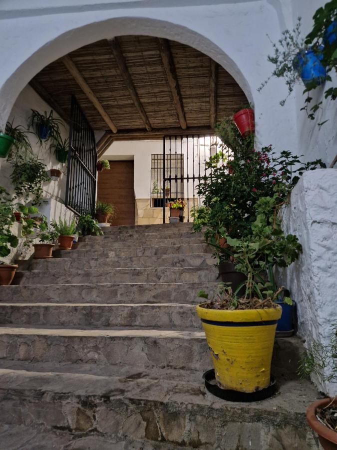 El Pitijopo Holiday home *